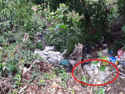 Xã Khánh Thượng (Ba Vì, Tp. Hà Nội): Nước thải chăn nuôi lợn 'nhuộm xanh' nước sông Đà ảnh 2