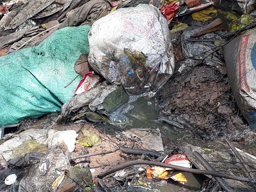 Xã Khánh Thượng (Ba Vì, Tp. Hà Nội): Nước thải chăn nuôi lợn 'nhuộm xanh' nước sông Đà ảnh 3