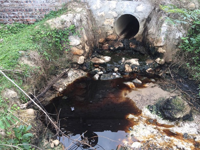 Bãi rác Xuân Sơn 'đầu độc' hồ Suối Hai? ảnh 1