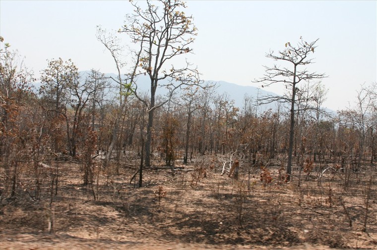 Mùa khát vùng hoang mạc ảnh 1