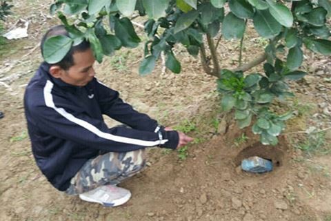 Cảnh sát Hà Nội kỳ công giăng lưới bắt 'cá mập' khủng ảnh 1