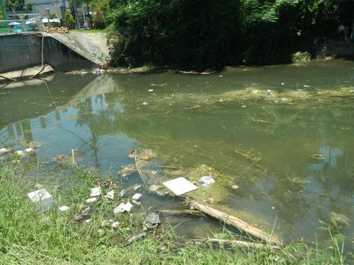 Báo động về tình trạng ô nhiễm môi trường tại phố cổ Hội An ảnh 1