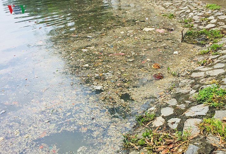 Sau mưa lớn, hồ Công viên Thống Nhất ngập rác thải ảnh 11