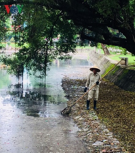 Sau mưa lớn, hồ Công viên Thống Nhất ngập rác thải ảnh 13