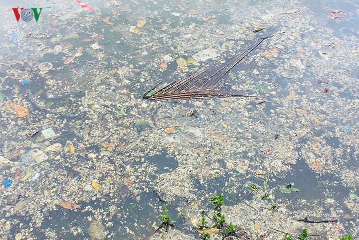 Sau mưa lớn, hồ Công viên Thống Nhất ngập rác thải ảnh 2