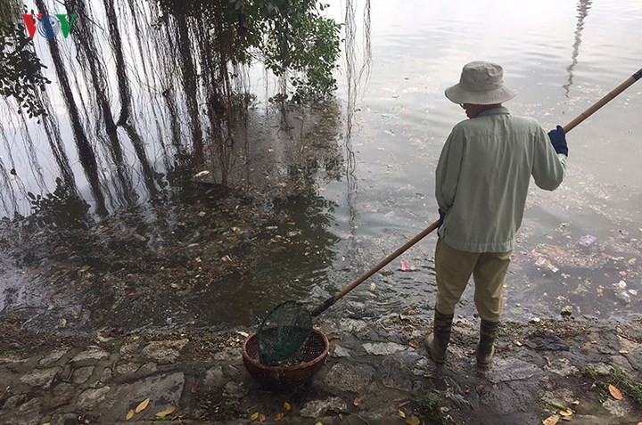 Sau mưa lớn, hồ Công viên Thống Nhất ngập rác thải ảnh 4