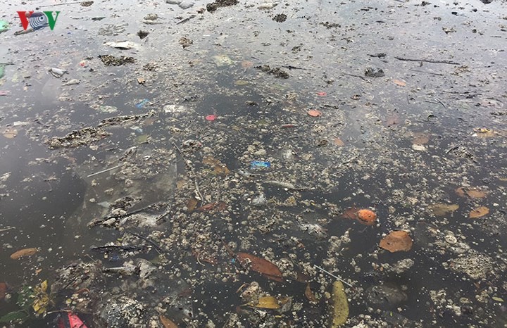 Sau mưa lớn, hồ Công viên Thống Nhất ngập rác thải ảnh 7