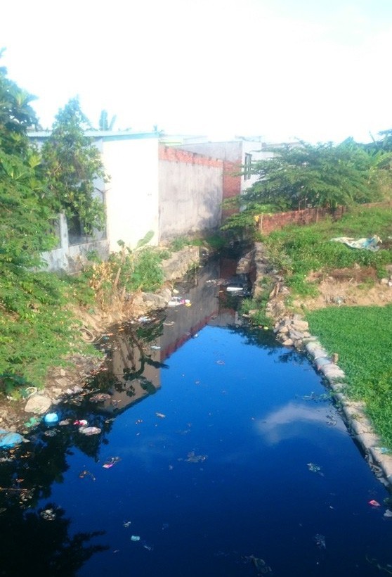 Đà Nẵng: Dân than khổ vì sống cạnh dòng 'kênh đen' ảnh 1