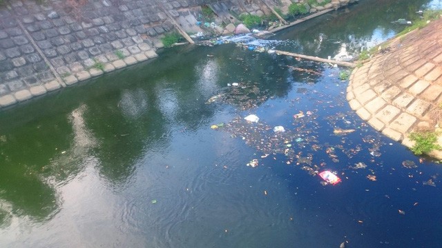 Đà Nẵng: Dân than khổ vì sống cạnh dòng 'kênh đen' ảnh 2