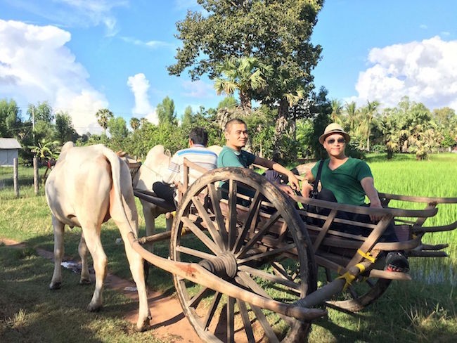 Khách Tây thích cưỡi trâu, cấy lúa và sức hút của du lịch nông nghiệp ảnh 2