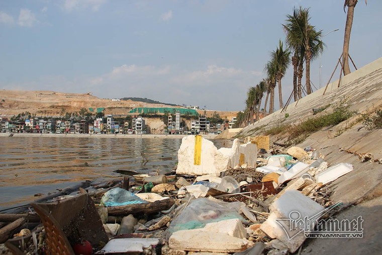  Cá chết thành mảng, bốc mùi hôi thối ở hồ điều hòa lớn nhất Hạ Long ảnh 2