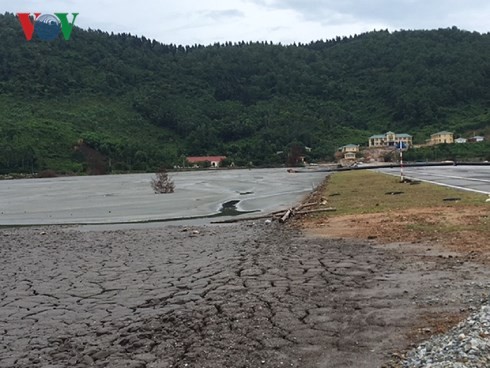 Đổ gần 1 triệu m3 bùn gây ô nhiễm khu vực cảng Chân Mây ảnh 2