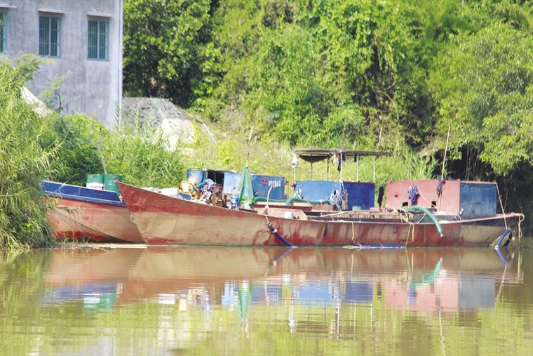 Vườn Quốc gia Cát Tiên 'kêu cứu' vì khai thác cát ảnh 1