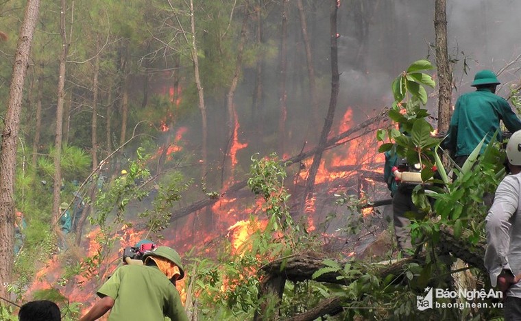 Cháy rừng lan từ Yên Thành sang Đô Lương, cả ngàn người dập lửa ảnh 1