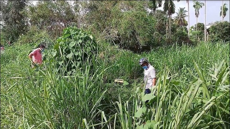 Đi cắt cỏ tá hỏa phát hiện xác người đang phân hủy ảnh 1