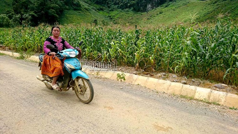 Lạnh gáy cung đường độc đạo xuyên 'lãnh địa ma túy' Tà Dê ảnh 3