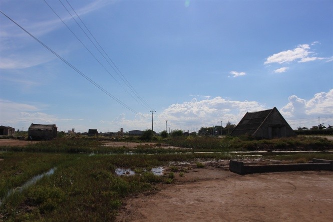 Thêm một mùa muối 'đắng ngắt', nghề làm muối Hải Lý có nguy cơ xóa sổ ảnh 1