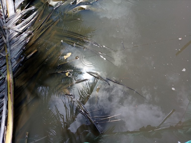 Kênh đột ngột ô nhiễm nặng, người dân khốn đốn ảnh 1