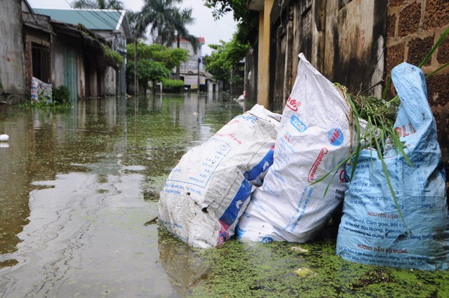 Hà Nội: Kinh hoàng 'biển rác' bủa vây người dân ngoại thành sau lũ ảnh 13