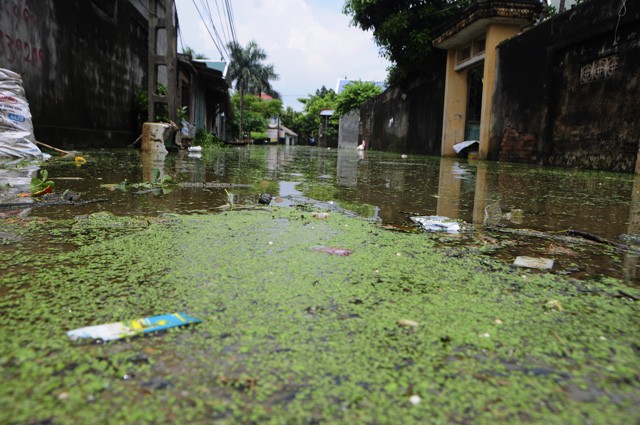 Hà Nội: Kinh hoàng 'biển rác' bủa vây người dân ngoại thành sau lũ ảnh 6