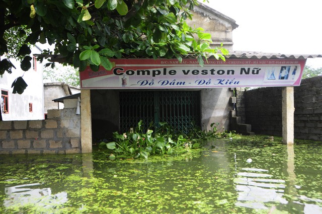 Hà Nội: Kinh hoàng 'biển rác' bủa vây người dân ngoại thành sau lũ ảnh 7