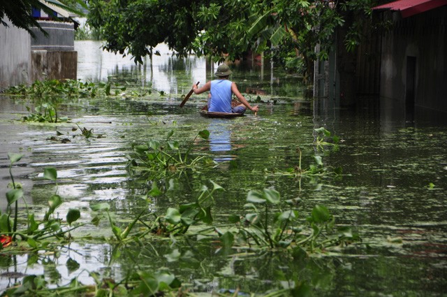 Hà Nội: Kinh hoàng 'biển rác' bủa vây người dân ngoại thành sau lũ ảnh 8
