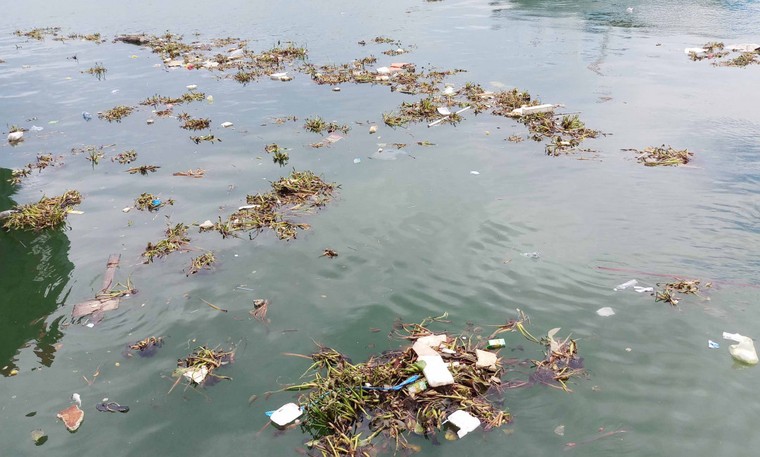 Quảng Ngãi: Rác thải ngập tràn cảng Sa Kỳ ảnh 1