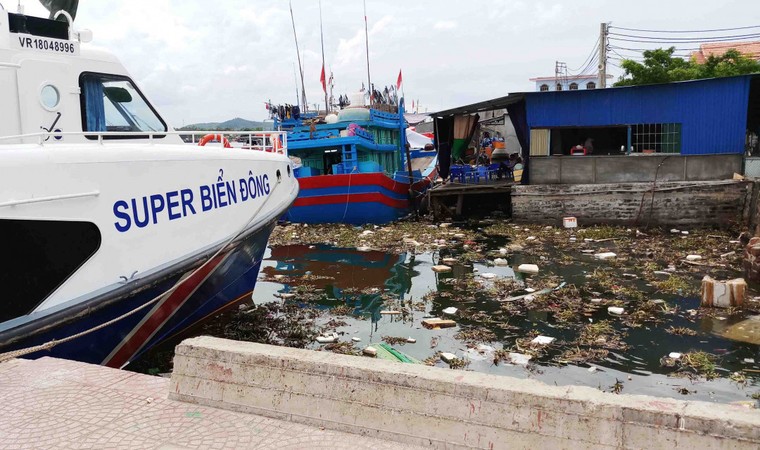 Quảng Ngãi: Rác thải ngập tràn cảng Sa Kỳ ảnh 4