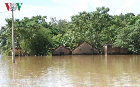 Nước lũ từ miền núi đổ về 'nhấn chìm' nhiều vùng hạ du Nghệ An ảnh 2