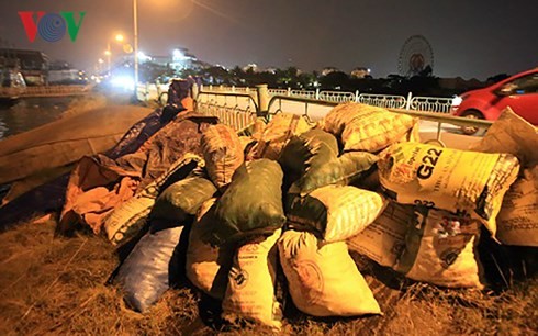 Cá lại chết nổi trắng Hồ Tây ảnh 1