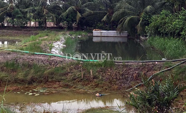 Quảng Ninh: Cả trăm hộ kêu cứu vì bị bơm nước mặn vào ruộng ảnh 1