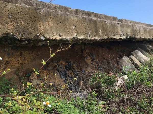 Quảng Bình: Đê Hữu Gianh xuống cấp nghiêm trọng ảnh 3