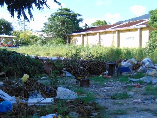 Đà Nẵng: Bãi rác lộ thiên trên đường Đinh Công Trứ, người dân khốn khổ ảnh 4