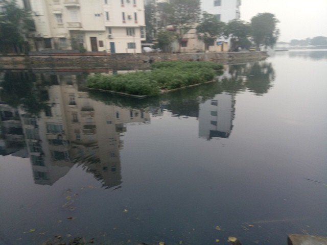 Hà Nội: Đến bao giờ Hồ Trúc Bạch hết ô nhiễm ? ảnh 1