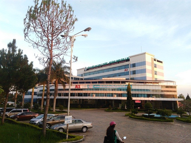 Kẻ lạ xông vào bệnh viện chém bệnh nhân tới tấp ảnh 2