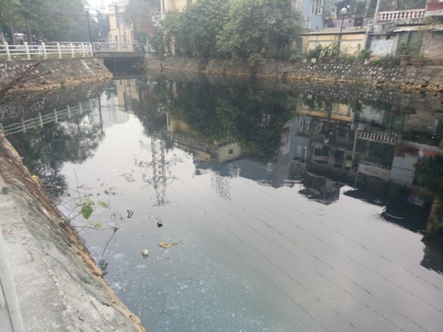 Hà Nội: Đến bao giờ Hồ Trúc Bạch hết ô nhiễm ? ảnh 2