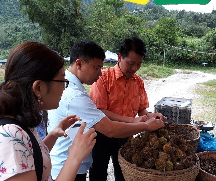 Khoảng 1,5 tỷ đồng tổ chức Lễ hội Thác Bản Giốc lần thứ 2 ảnh 1