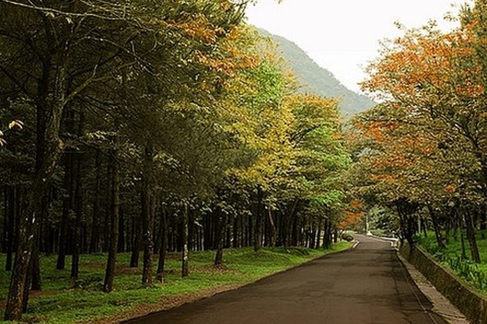 10 địa điểm vui chơi lãng mạn, trẻ trung ngày 20-10 quanh Hà Nội ảnh 6