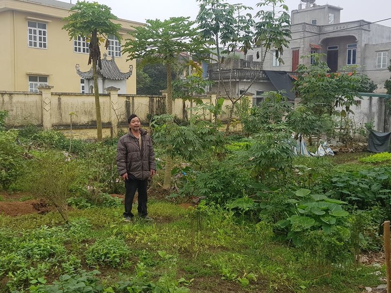 Hà Nội: Hơn 3 thập kỷ gõ cửa chính quyền đòi mảnh ao của cha ông trong vô vọng? ảnh 1