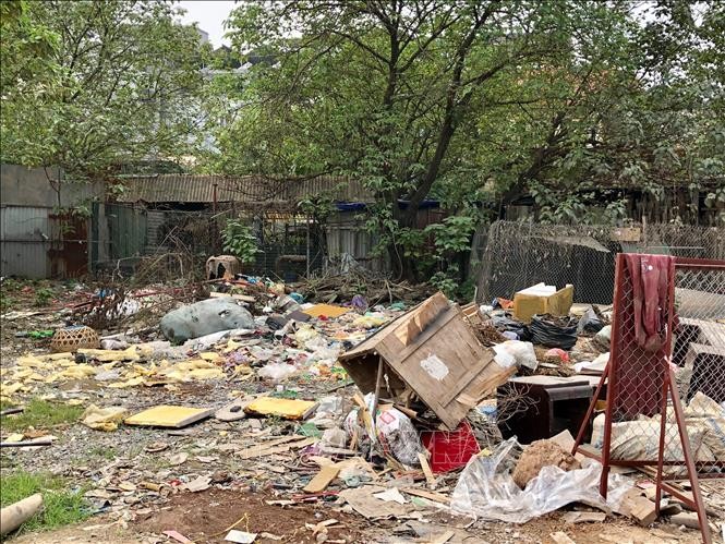 Báo động thực trạng 'nhấn chìm' sự sống từ rác thải nhựa ảnh 2