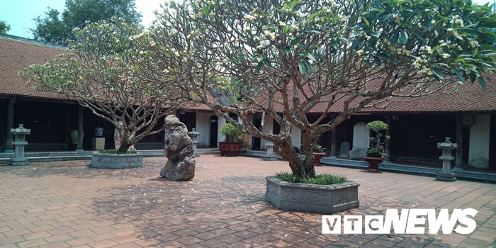 Thực hư hai phụ nữ bị sư trụ trì chửi, dọa thả chó cắn khi chụp ảnh trong chùa ảnh 2