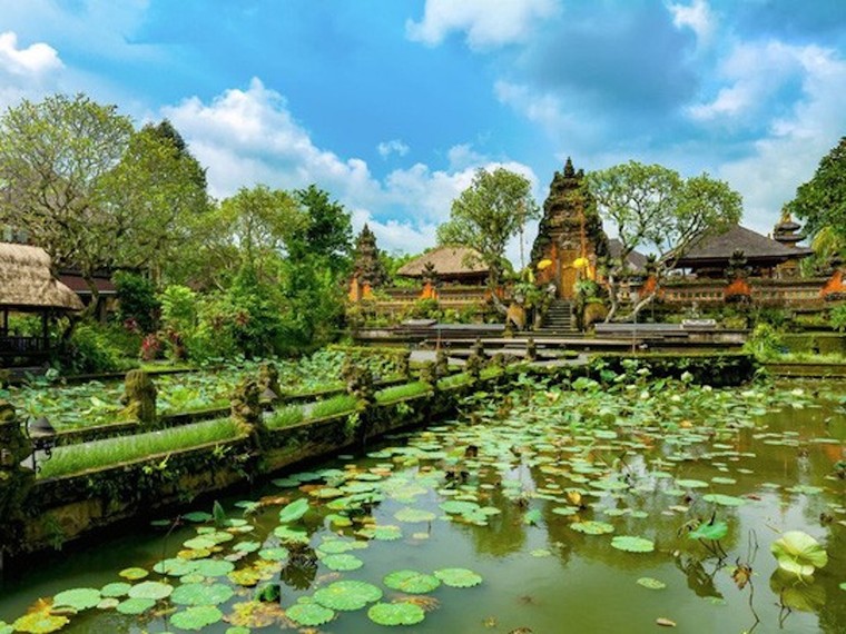 Hội An được bình chọn là thành phố tuyệt vời nhất thế giới 2019 ảnh 5