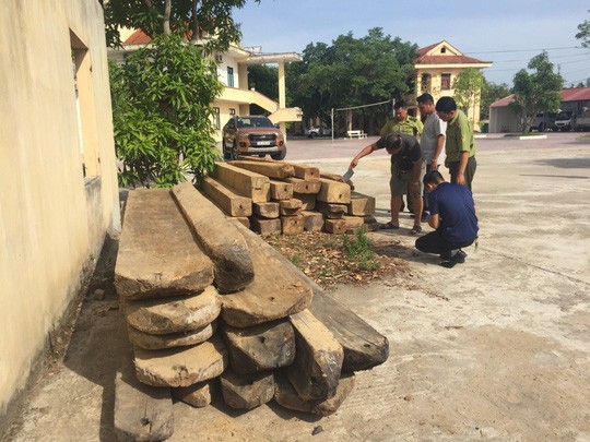 Truy đuổi xe chở gỗ lậu, kiểm lâm bị ‘lâm tặc’ dùng đá đập vào đầu cấp cứu ảnh 1