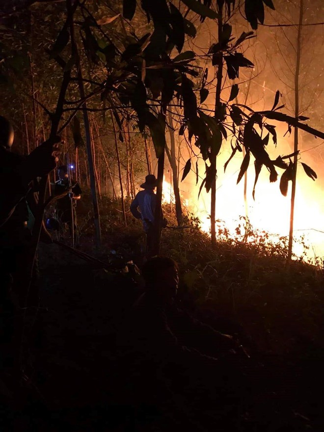 Hơn 300 người cật lực 4 giờ đồng hồ khống chế đám cháy rừng lúc nửa đêm ​ ảnh 2