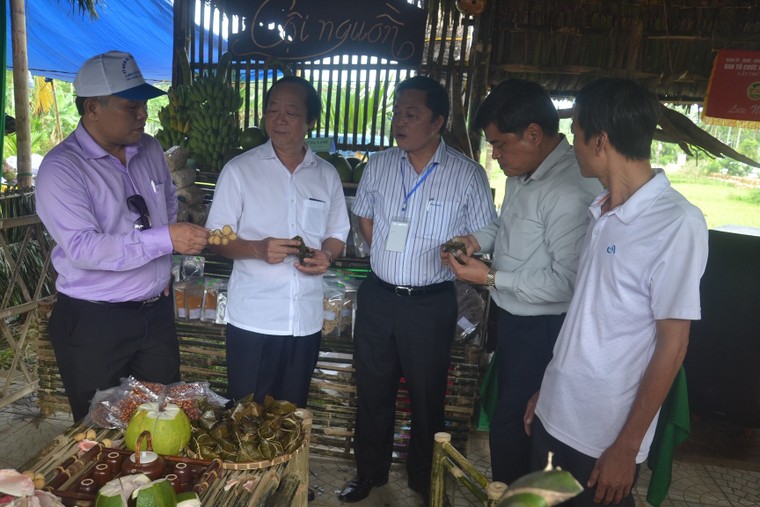 10 năm xây dựng Nông thôn mới ở Duyên hải Nam Trung bộ và Tây Nguyên: Huy động 20 ngàn tỷ đồng ảnh 1