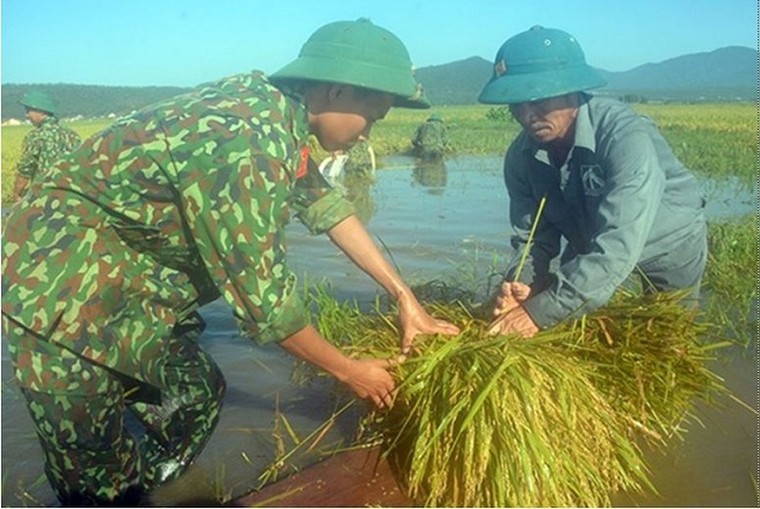 Sớm đưa dân vùng lũ trở lại cuộc sống bình thường ảnh 1