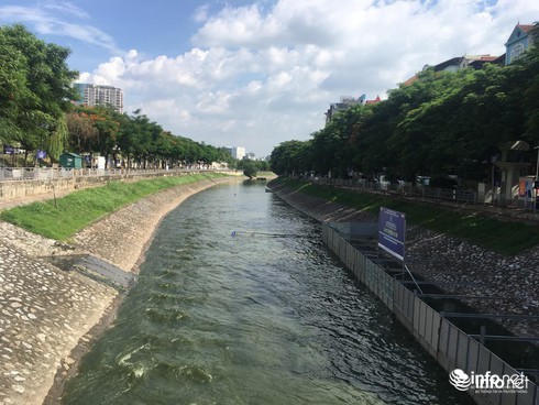 Sẽ thả cá chép Nhật Bản trên sông Tô Lịch và Hồ Tây ảnh 1