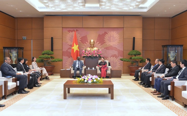 Chủ tịch Quốc hội tiếp Giám đốc Quốc gia Ngân hàng Thế giới ở Việt Nam ảnh 3