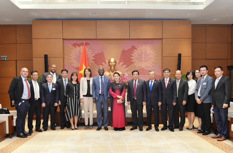 Chủ tịch Quốc hội tiếp Giám đốc Quốc gia Ngân hàng Thế giới ở Việt Nam ảnh 2