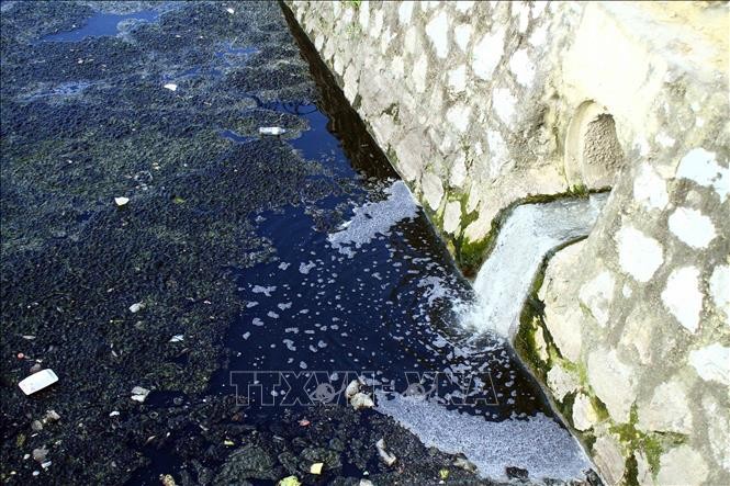 Ô nhiễm nghiêm trọng tại kênh hào thành cổ Vinh ảnh 1